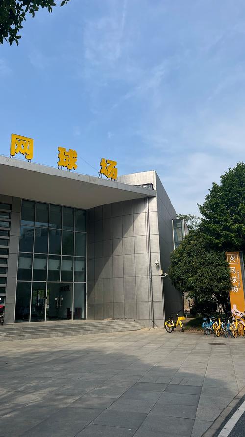 与魅力的舞