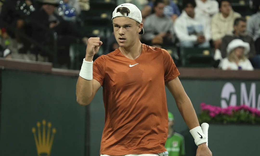 多夫比克在 多夫比克在