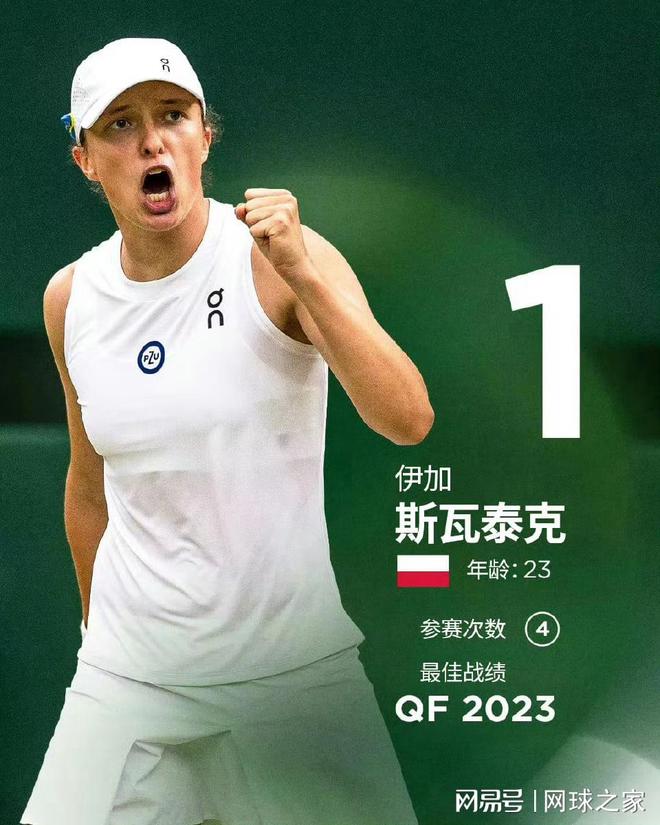 不仅展示了 不仅展示了