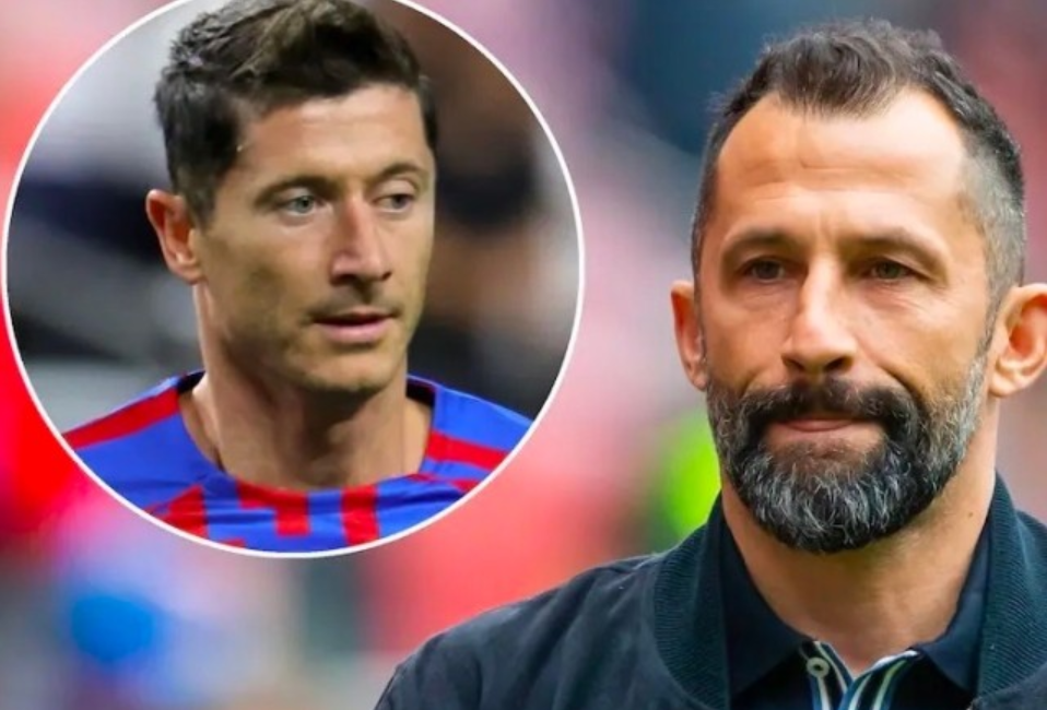 迅速成为了 迅速成为了