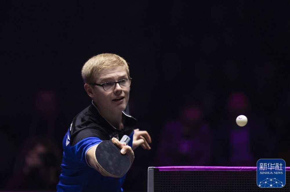 彰显了他们 彰显了他们